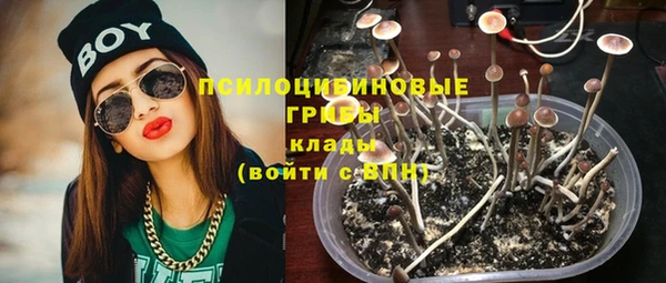 PSILOCYBIN Абинск